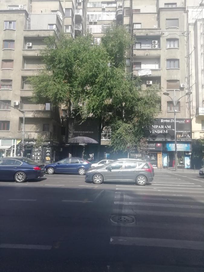 Studio Ultracentral Universitatea Букурещ Екстериор снимка